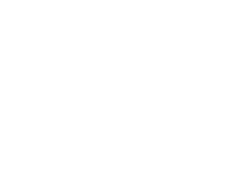 Dental Now Kids logo
